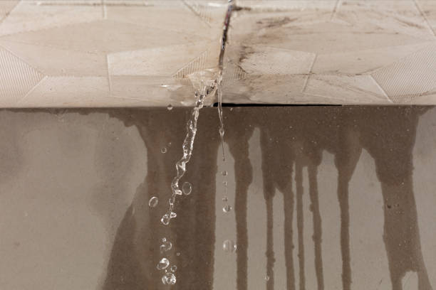 Professional Sewage Cleanup technician working in Springfield, LA
